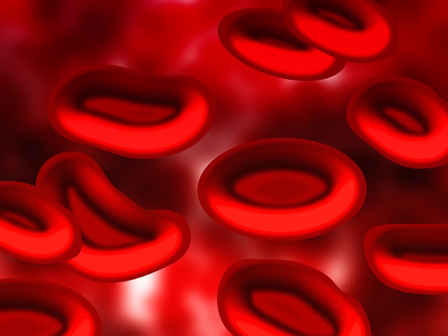 blood-kraujo-plazma