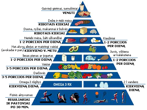 mitybos piramide
